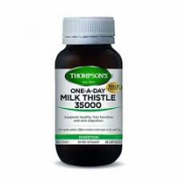 Milk Thistle - Thompson